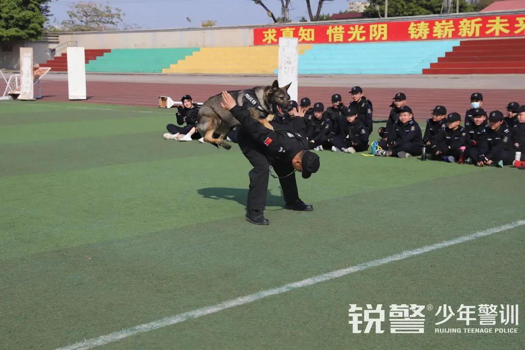 特警突擊營圓滿結營：曆經警訓淬煉，成就(jiù)英勇少(shǎo)年(nián)