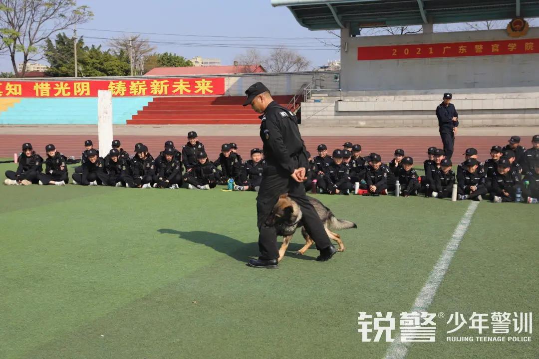 特警突擊營圓滿結營：曆經警訓淬煉，成就(jiù)英勇少(shǎo)年(nián)