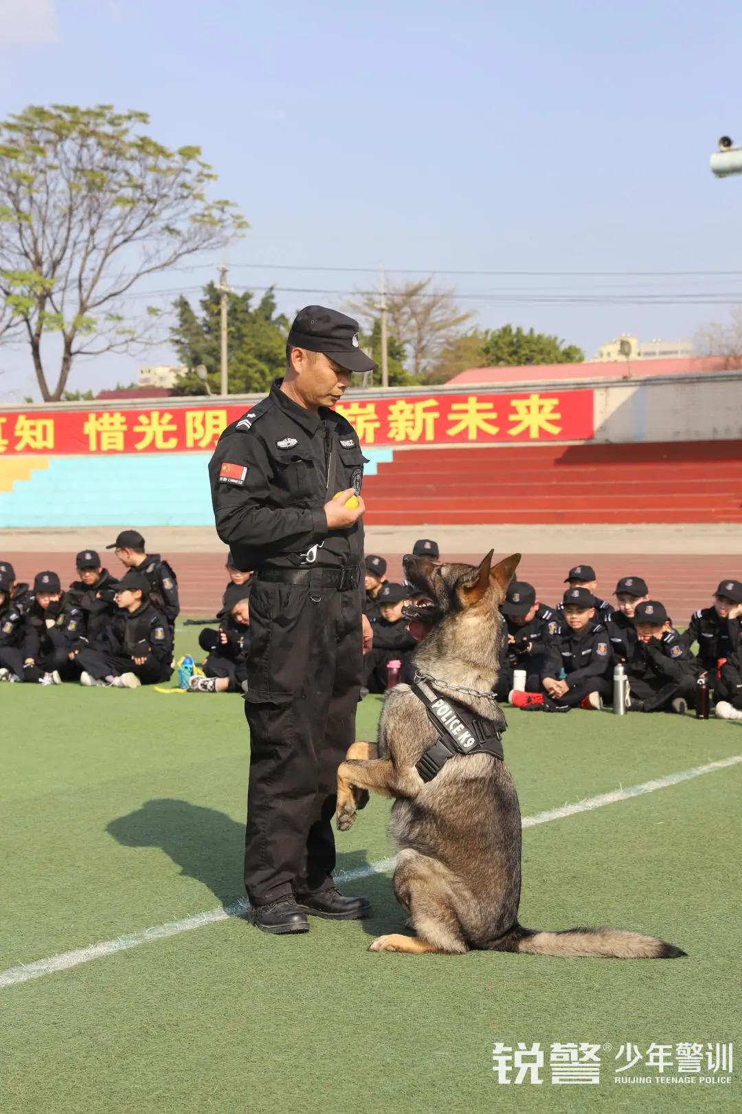 特警突擊營圓滿結營：曆經警訓淬煉，成就(jiù)英勇少(shǎo)年(nián)
