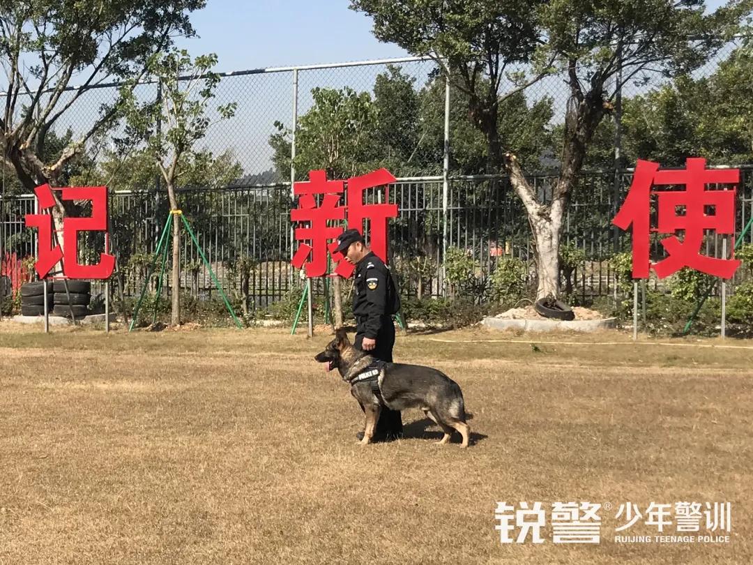 瘋狂種草(cǎo)！人(rén)氣爆棚的(de)廣州親子(zǐ)遊打卡地(dì)，收獲快(kuài)樂(yuè)，提升技(jì)能(néng)
