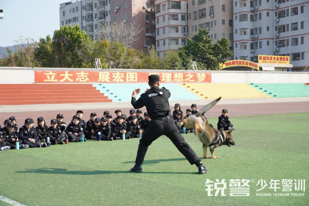 特警突擊營圓滿結營：曆經警訓淬煉，成就(jiù)英勇少(shǎo)年(nián)