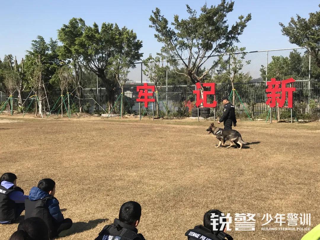瘋狂種草(cǎo)！人(rén)氣爆棚的(de)廣州親子(zǐ)遊打卡地(dì)，收獲快(kuài)樂(yuè)，提升技(jì)能(néng)